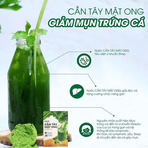 Bột Cần Tây Mật Ong Motree Công Nghệ Nhật Bản Tăng - Giảm Cân-1