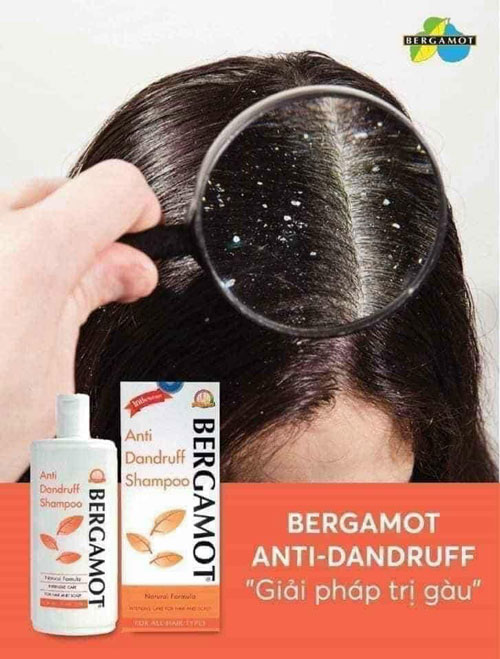 Dầu Gội Trị Gàu Bergamot Anti Dandruff Thái Lan Dầu gội-1