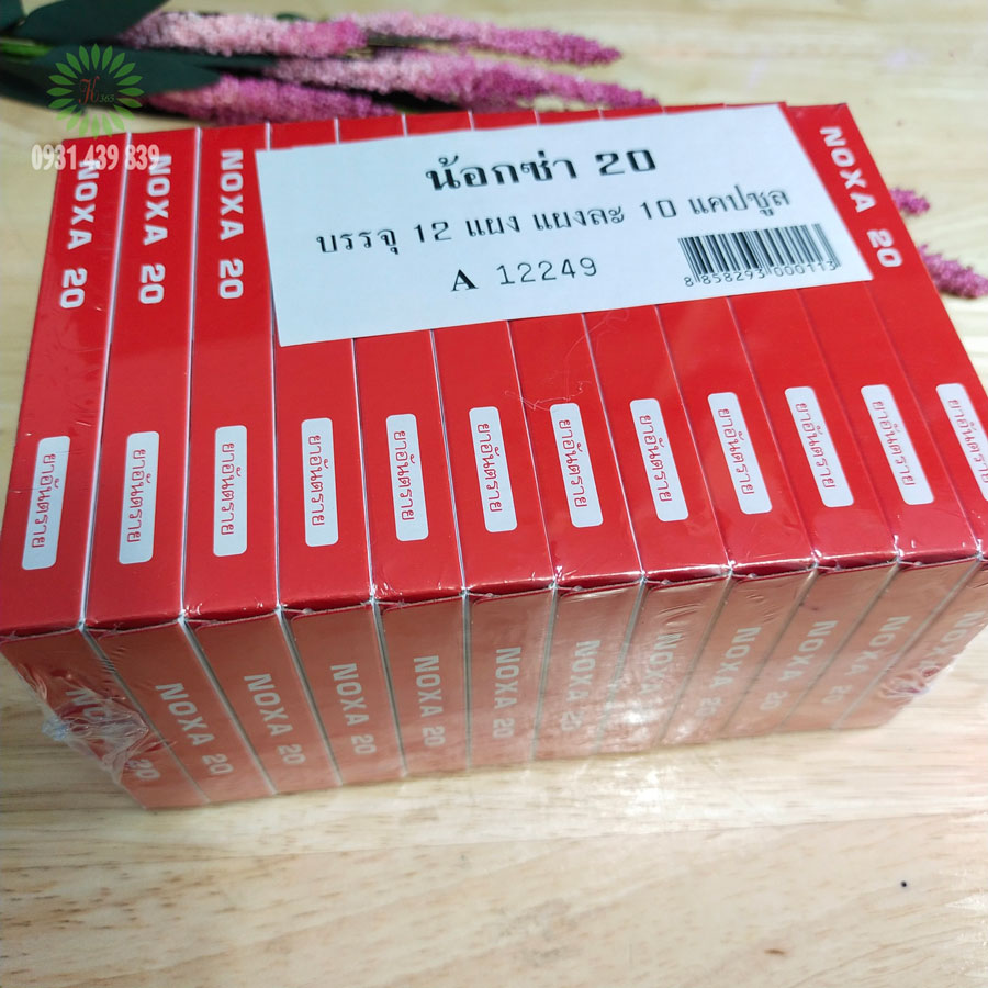 Thuốc Trị Xương Khớp Noxa 20 Vỉ 10 Viên Thái Lan Thuốc Đặc Trị Viêm Xương Khớp-1