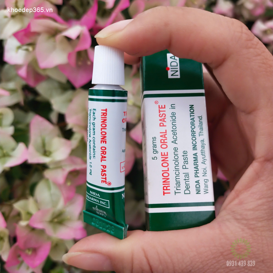 Thuốc Trị Nhiệt Miệng Trinolone Oral Paste Thái Lan Dầu Thảo Dược-2