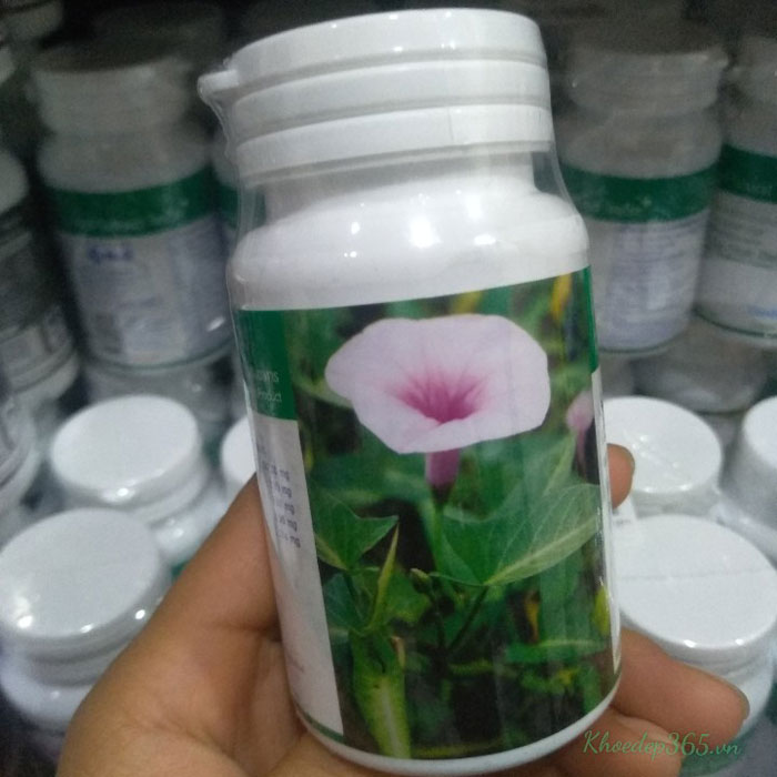 Viên Giảm Cân Rau Xanh Veggy Fiber Diet Bệnh Viện Yanhee Thái Lan 100 Viên Tăng - Giảm Cân-1