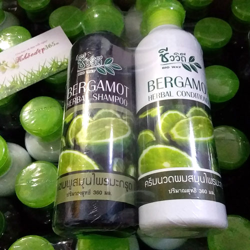 Bộ Gội Xả Chanh trị gàu, ngăn rụng tóc Bergamot Thái Lan 720ml